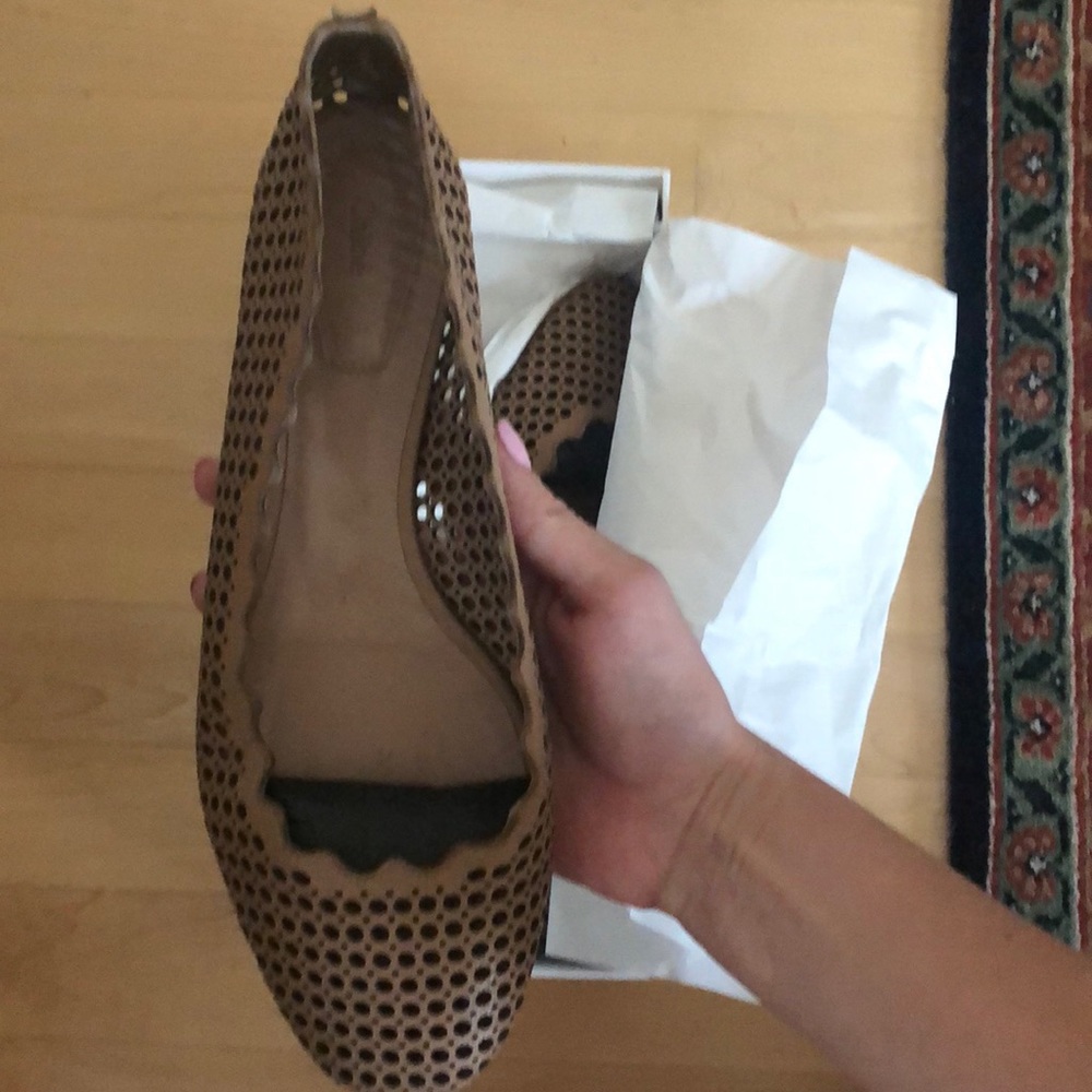 Chloe scalloped flats